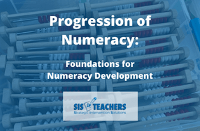 The Progression of Conservation: Foundations for Numeracy Development