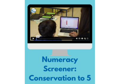2. See It: Numeracy Screener – Conservation to 5